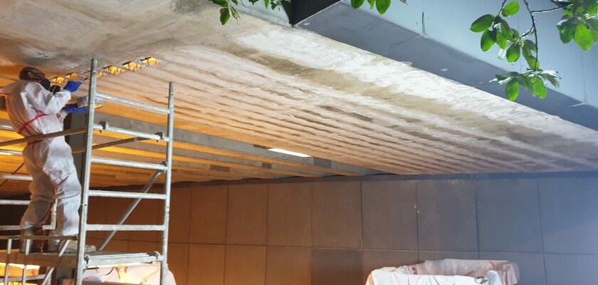 Renfort Plat Lamelle Carbone Ouvragre d'Art Luxembourg